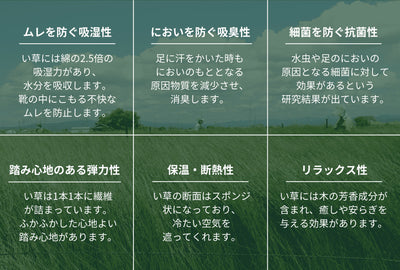 <Liberato>  Tatami Sandal Slipper / Black