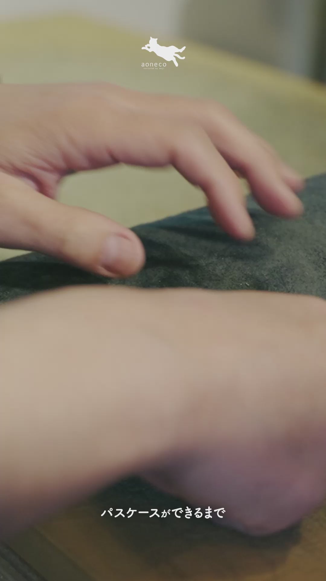 ＜アオネコ＞リール付きパスケース/ブルーグリーン